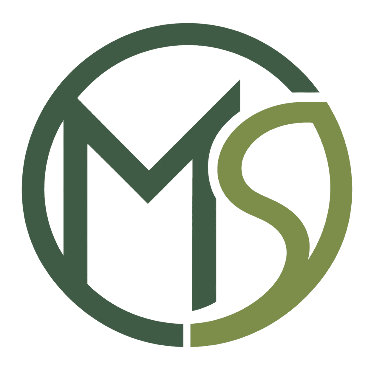 moosmacht Studio